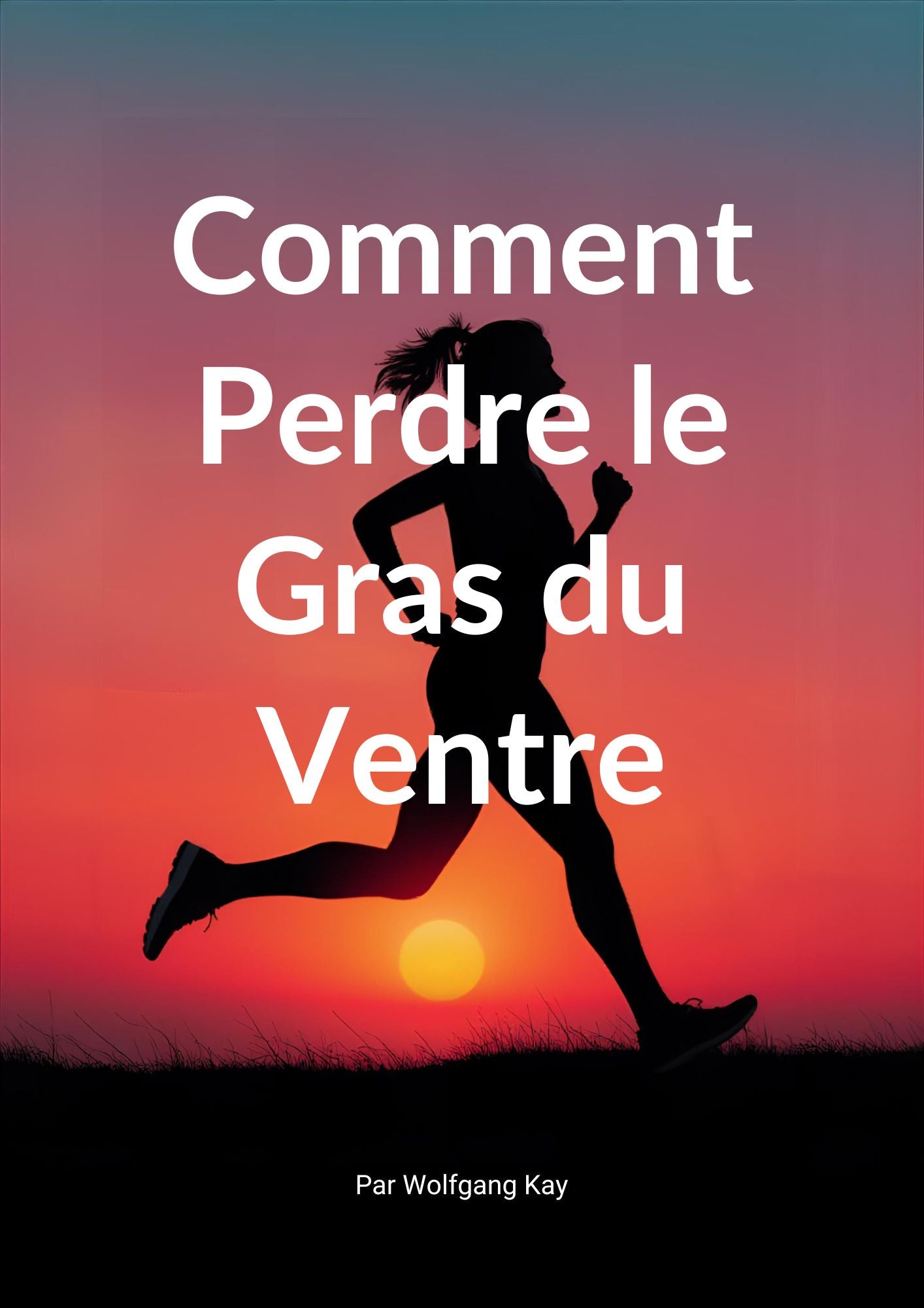 EBOOK - COMMENT PERDRE LE GRAS DU VENTRE EN 90 JOURS ?