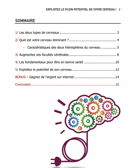 E-BOOK : COMMENT DÉVELOPPER VOTRE PLEIN POTENTIEL ?