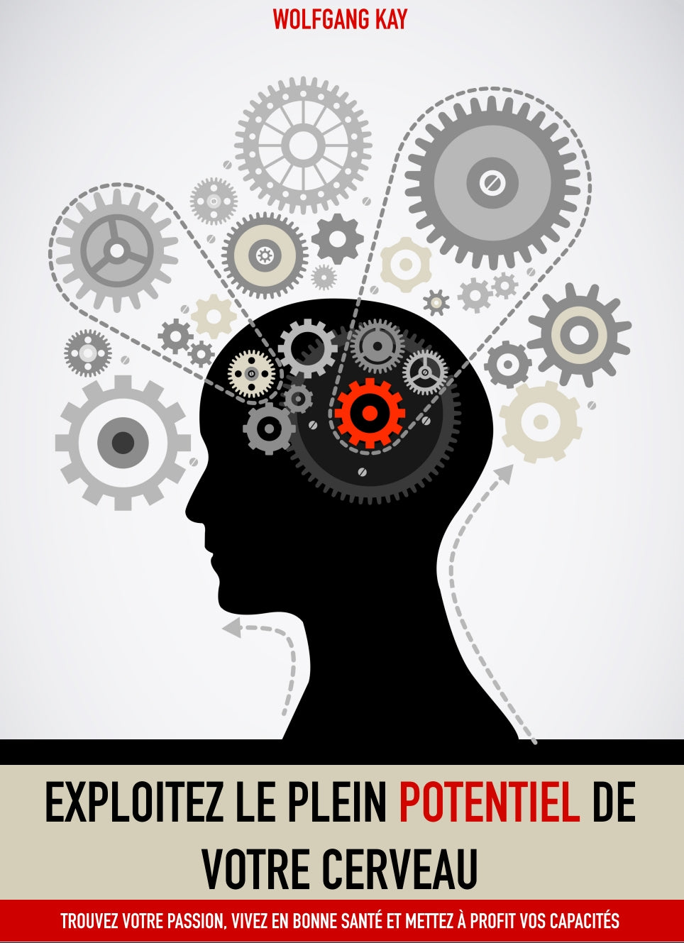EBOOK OFFERT 🎁 : DÉVELOPPER VOTRE PLEIN POTENTIEL  🇫🇷
