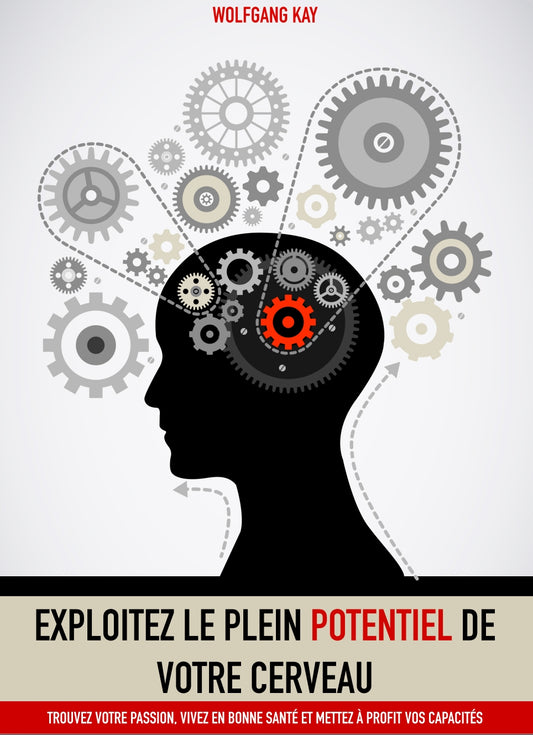 EBOOK OFFERT 🎁 : DÉVELOPPER VOTRE PLEIN POTENTIEL  🇫🇷