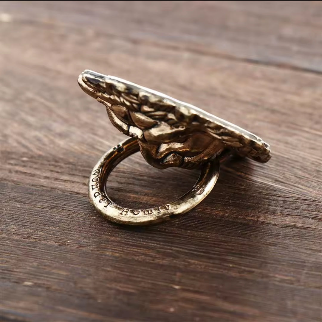 COMME UN LION 🦁🇫🇷