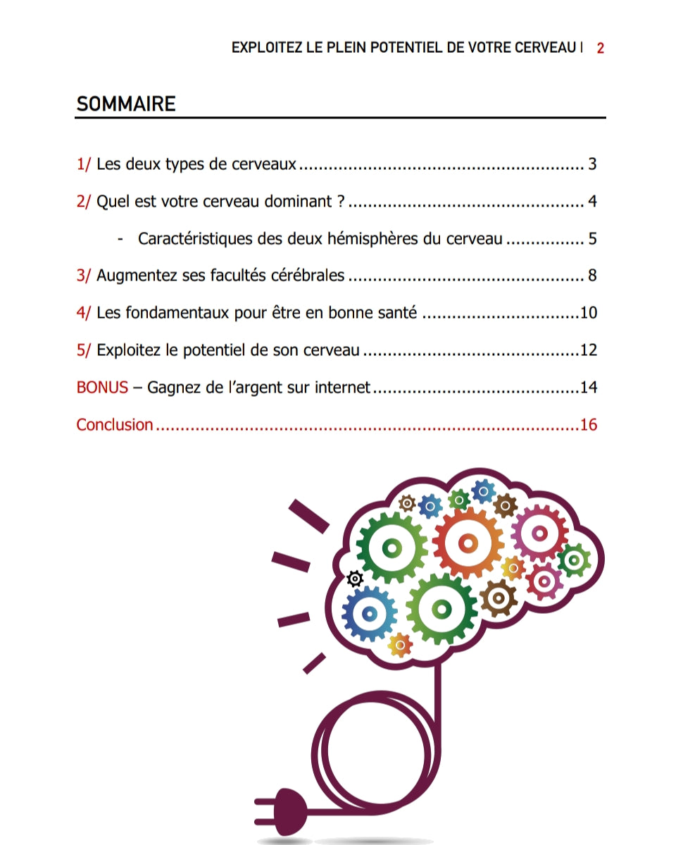 EBOOK OFFERT 🎁 : DÉVELOPPER VOTRE PLEIN POTENTIEL  🇫🇷